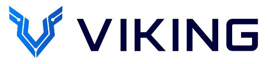 Logo Projekt VIKING